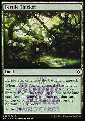 **4x FOIL Fertile Thicket** BFZ MTG Battle for Zendikar Common MINT green land **4x FOIL Fertile Thicket** BFZ MTG Battle for Zendikar Common MINT green land