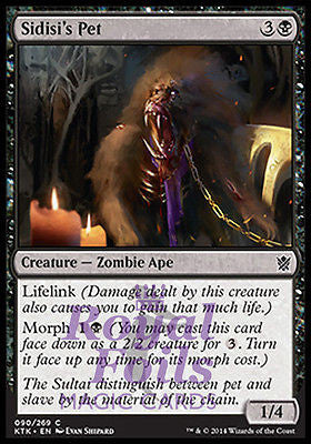 Sidisi's Pet 4x FOIL MTG KTK Khans of Tarkir Common MINT black Sidisi's Pet 4x FOIL MTG KTK Khans of Tarkir Common MINT black