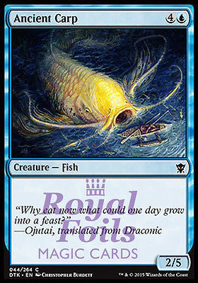 **4x FOIL Ancient Carp** DTK MTG Dragons of Tarkir Common MINT blue **4x FOIL Ancient Carp** DTK MTG Dragons of Tarkir Common MINT blue