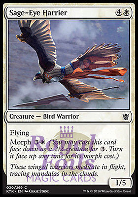 Sage-Eye Harrier 4x FOIL MTG KTK Khans of Tarkir Common MINT white Sage-Eye Harrier 4x FOIL MTG KTK Khans of Tarkir Common MINT white