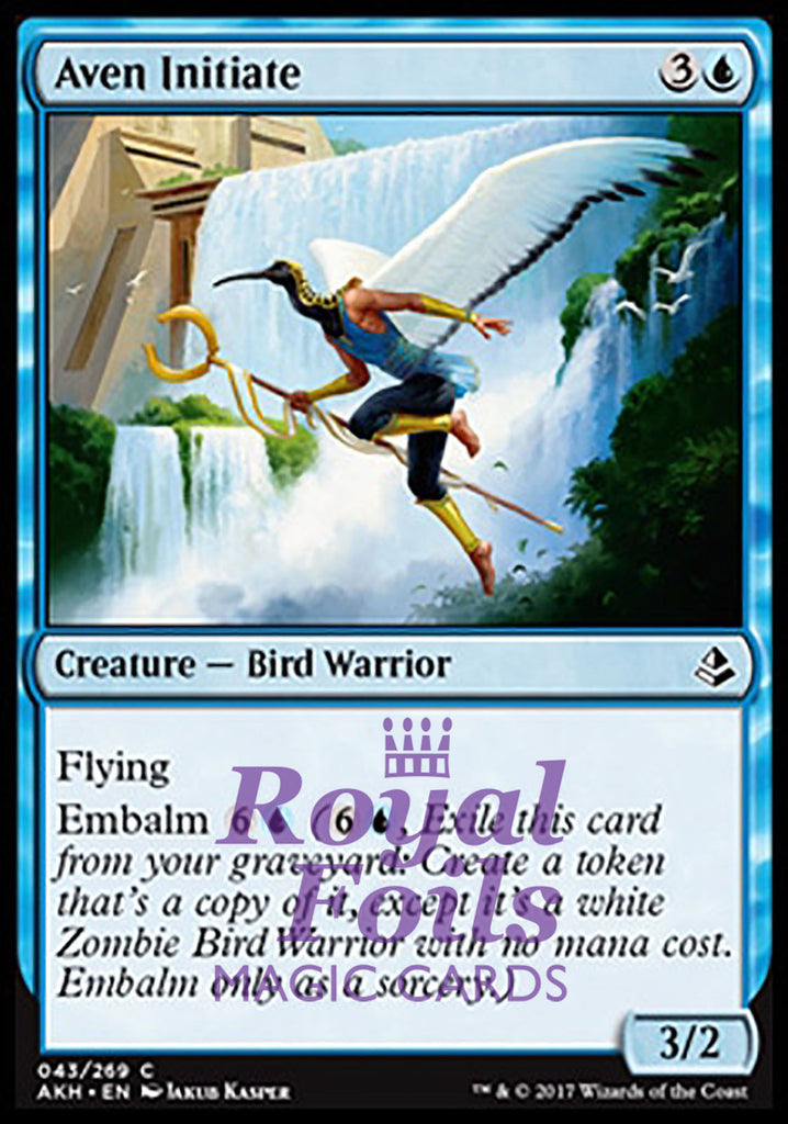 Aven Initiate 4x FOIL AKH MTG Amonkhet Common MINT blue Aven Initiate 4x FOIL AKH MTG Amonkhet Common MINT blue