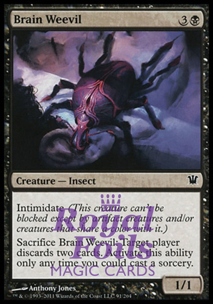 Brain Weevil 4x FOIL ISD MTG Innistrad Common MINT black Brain Weevil 4x FOIL ISD MTG Innistrad Common MINT black