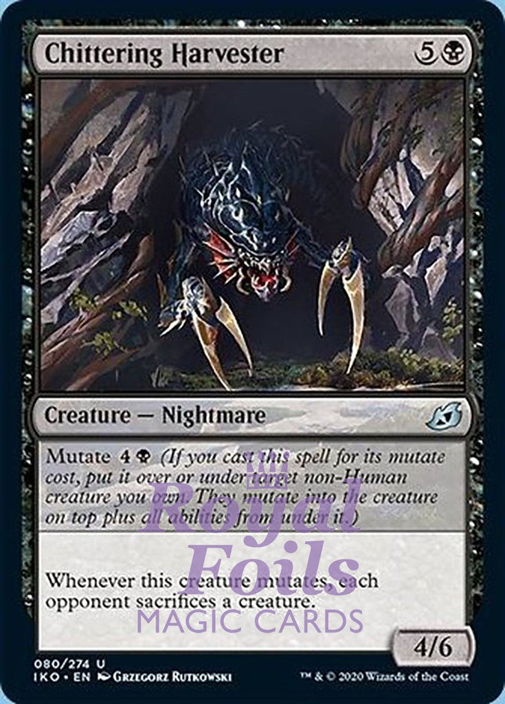 Chittering Harvester 4x FOIL IKO MTG Ikoria Uncommon MINT black Chittering Harvester 4x FOIL IKO MTG Ikoria Uncommon MINT black