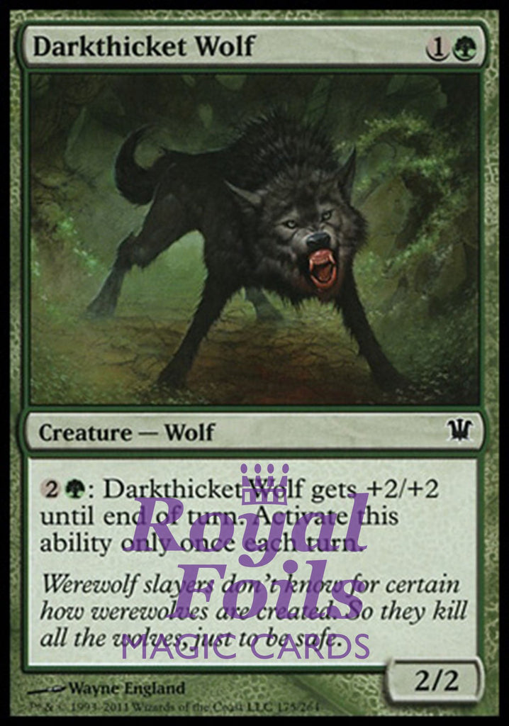 Darkthicket Wolf 4x FOIL ISD MTG Innistrad Common MINT green Darkthicket Wolf 4x FOIL ISD MTG Innistrad Common MINT green