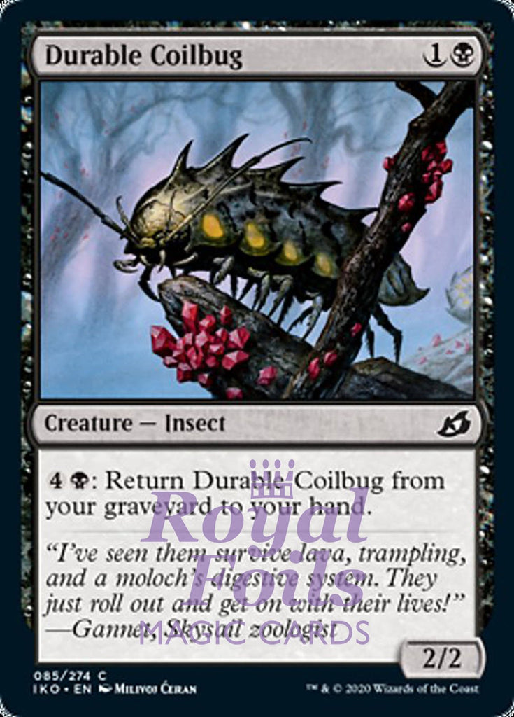 Durable Coilbug 4x FOIL IKO MTG Ikoria Common MINT black Durable Coilbug 4x FOIL IKO MTG Ikoria Common MINT black