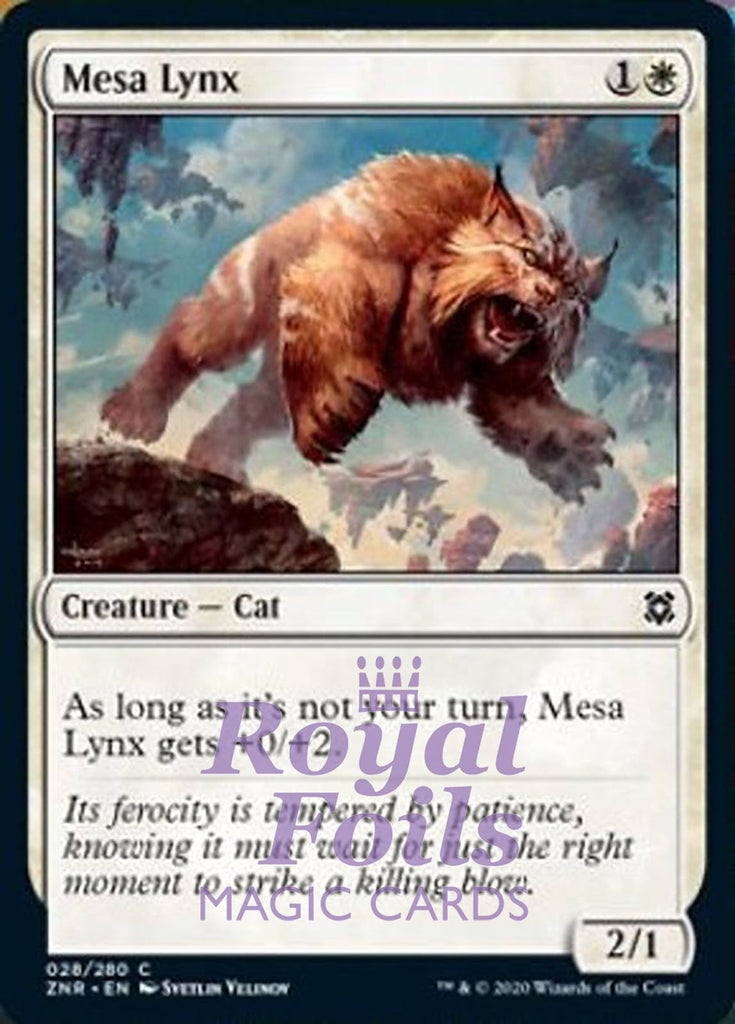 **4x FOIL Mesa Lynx** ZNR MTG Zendikar Rising Common MINT white **4x FOIL Mesa Lynx** ZNR MTG Zendikar Rising Common MINT white