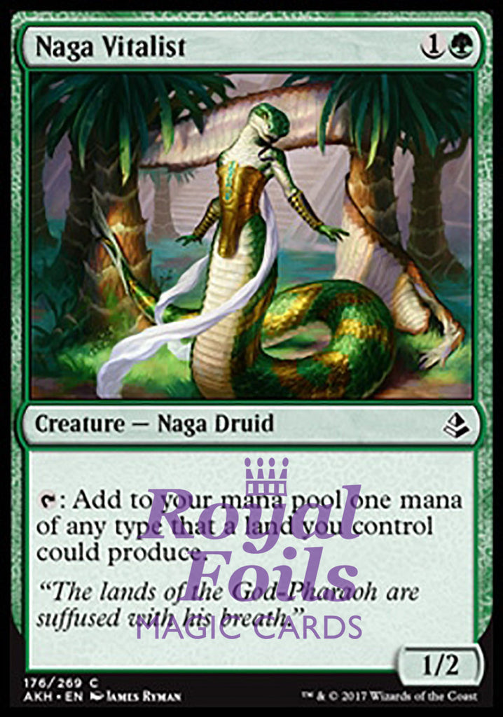 Naga Vitalist 4x FOIL AKH MTG Amonkhet Common MINT green Naga Vitalist 4x FOIL AKH MTG Amonkhet Common MINT green