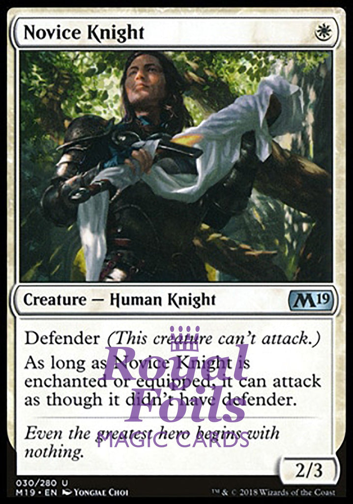 **2x FOIL Novice Knight** M19 MTG Core Set 2019 Uncommon MINT white **2x FOIL Novice Knight** M19 MTG Core Set 2019 Uncommon MINT white