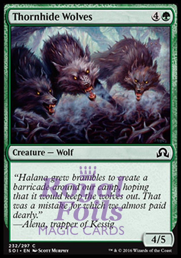 Thornhide Wolves 4x FOIL SOI MTG Shadows Over Innistrad Common MINT green Thornhide Wolves 4x FOIL SOI MTG Shadows Over Innistrad Common MINT green
