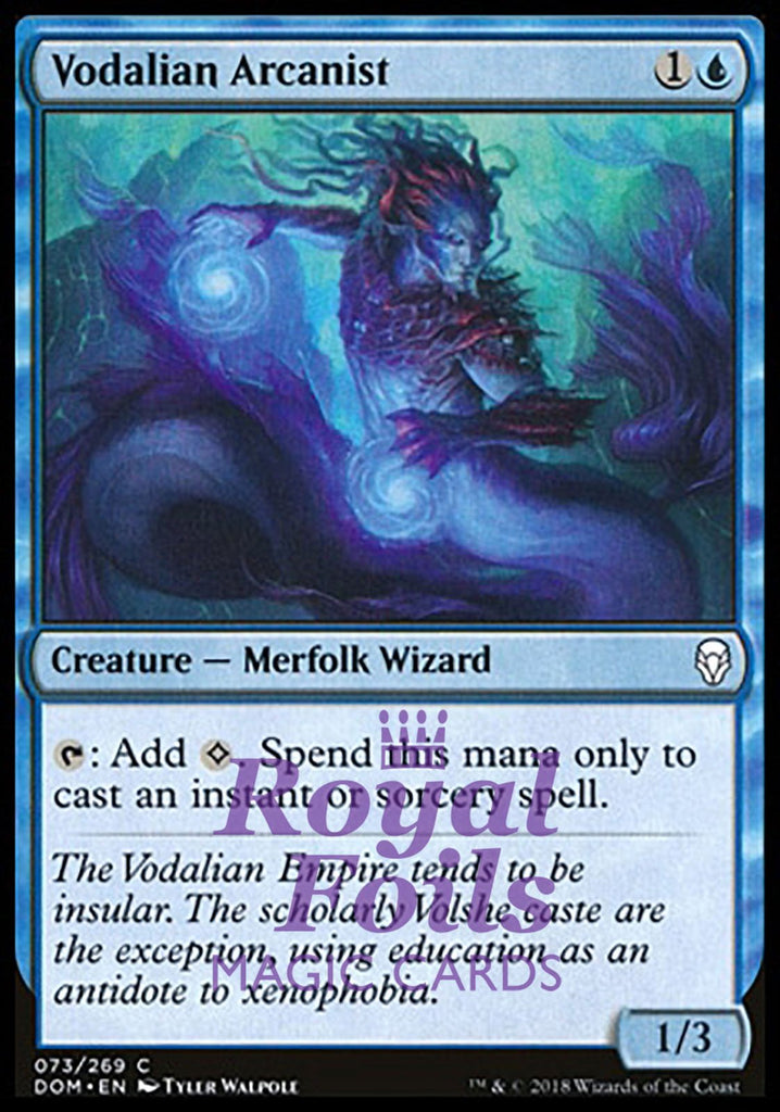 Vodalian Arcanist 4x FOIL DOM MTG Dominaria Common MINT blue Vodalian Arcanist 4x FOIL DOM MTG Dominaria Common MINT blue