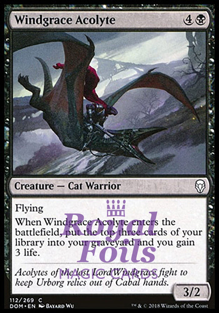 Windgrace Acolyte 4x FOIL DOM MTG Dominaria Common MINT black Windgrace Acolyte 4x FOIL DOM MTG Dominaria Common MINT black