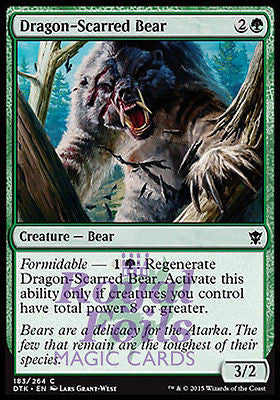 Dragon-Scarred Bear 2x FOIL DTK MTG Dragons of Tarkir Common MINT green