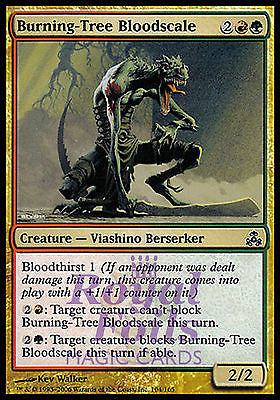 **4x FOIL Burning-Tree Bloodscale** GPT MTG Guildpact Common MINT red green