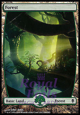 Forest 246 1x FOIL ZEN MTG Zendikar Full Art Basic Land MINT green