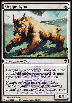 Steppe Lynx 1x FOIL ZEN MTG Zendikar Common MINT white