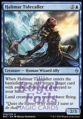 Halimar Tidecaller 2x FOIL BFZ MTG Battle for Zendikar Uncommon NM blue