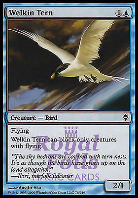 **4x FOIL Welkin Tern** ZEN MTG Zendikar Common MINT blue