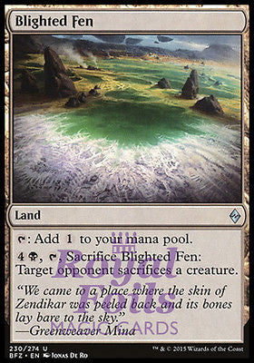 Blighted Fen 2x FOIL BFZ MTG Battle for Zendikar Uncommon MINT black land