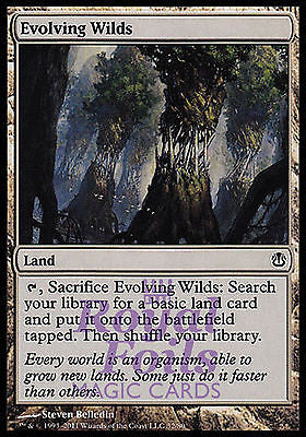 **2x FOIL Evolving Wilds** ROE MTG Rise of Eldrazi Common NM land