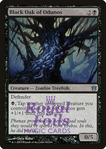 **2x FOIL Black Oak of Odunos** BNG MTG Born of the Gods Uncommon MINT black