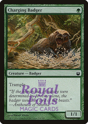 **4x FOIL Charging Badger** BNG MTG Born of the Gods Common MINT green