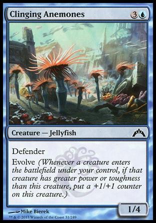 Clinging Anemones 4x FOIL GTC MTG Gatecrash Common MINT blue