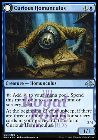 **1x FOIL Curious Homunculus // Voracious Reader** EMN MTG Eldritch Moon Uncommon MINT blue