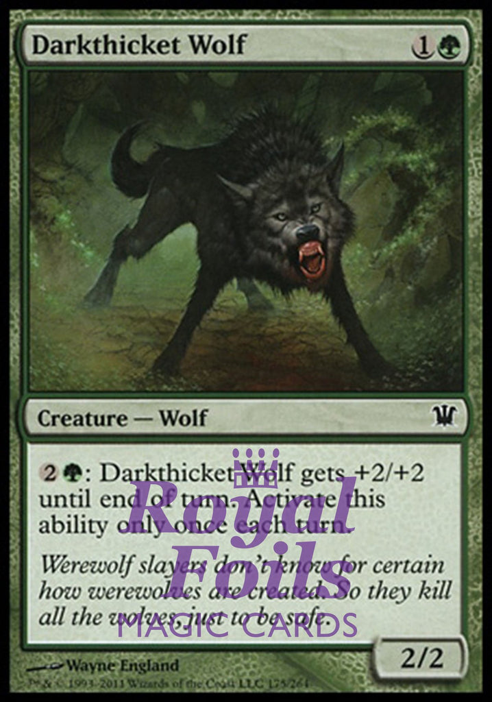 **4x FOIL Darkthicket Wolf** ISD MTG Innistrad Common MINT green