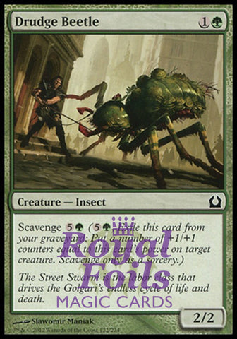 **4x FOIL Drudge Beetle** RTR MTG Return to Ravnica Common MINT green