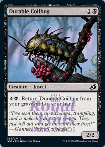 Durable Coilbug 4x FOIL IKO MTG Ikoria Common MINT black
