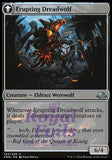 **1x FOIL Smoldering Werewolf // Erupting Dreadwolf** EMN MTG Eldritch Moon Uncommon MINT red