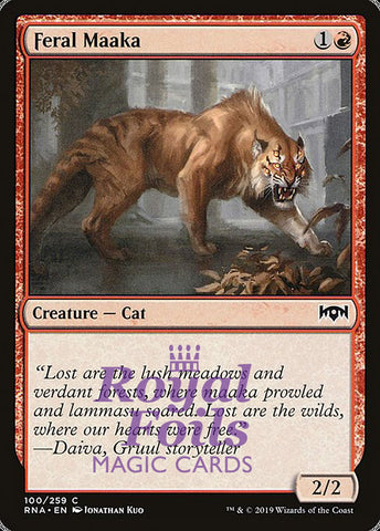 Feral Maaka 4x FOIL RNA MTG Ravnica Allegiance Common MINT red