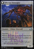 Tangleclaw Werewolf // Fibrous Entangler 4x FOIL EMN MTG Eldritch Moon Uncommon 3 MT 1 NM green