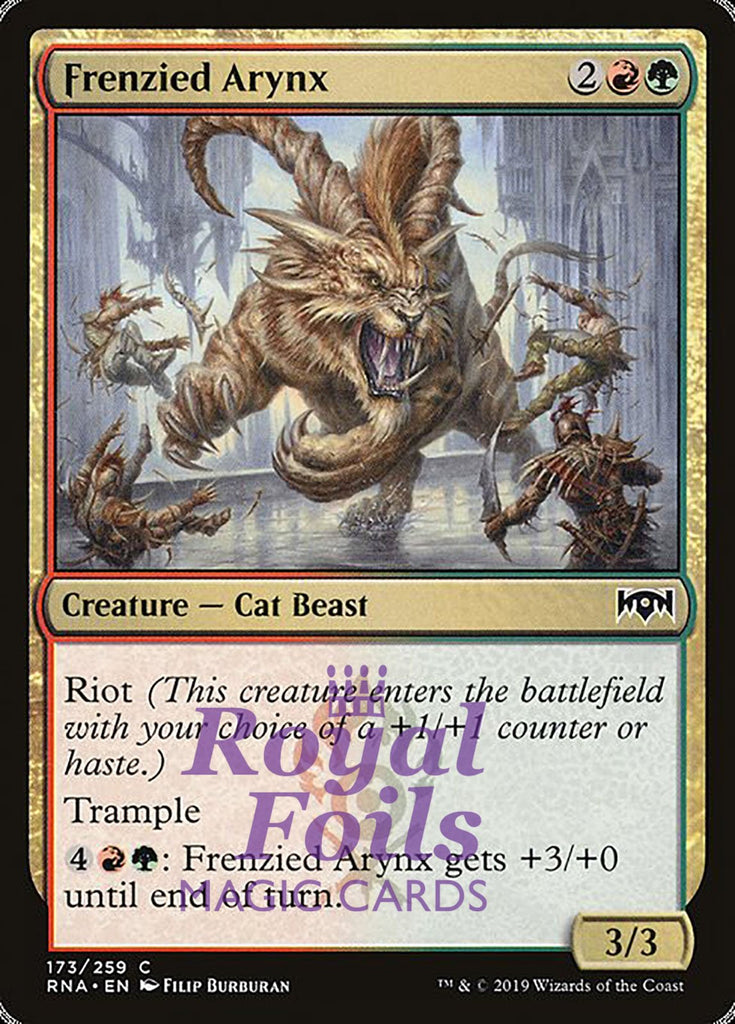 Frenzied Arynx 4x FOIL RNA MTG Ravnica Allegiance Common MINT red green