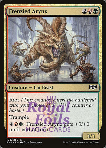 Frenzied Arynx 4x FOIL RNA MTG Ravnica Allegiance Common MINT red green