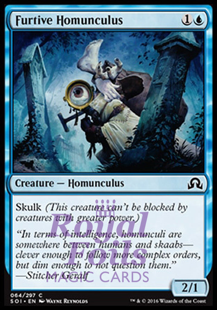 Furtive Homunculus 4x FOIL SOI MTG Shadows Over Innistrad Common MINT blue