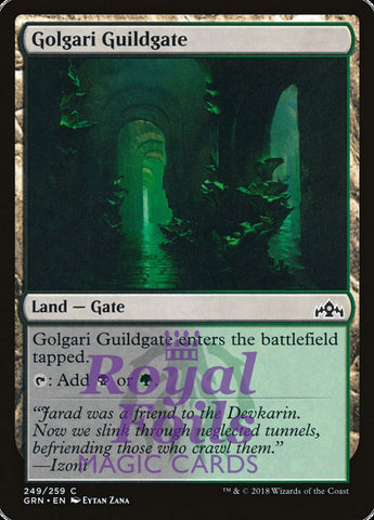 **2x FOIL Golgari Guildgate #249** GRN MTG Guilds of Ravnica Common MINT black green land gate