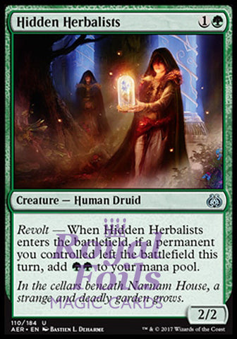 **2x FOIL Hidden Herbalists** AER MTG Aether Revolt Uncommon MINT