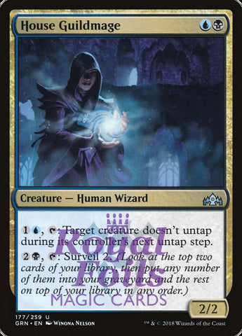 House Guildmage 2x FOIL GRN MTG Guilds of Ravnica Uncommon MINT blue black