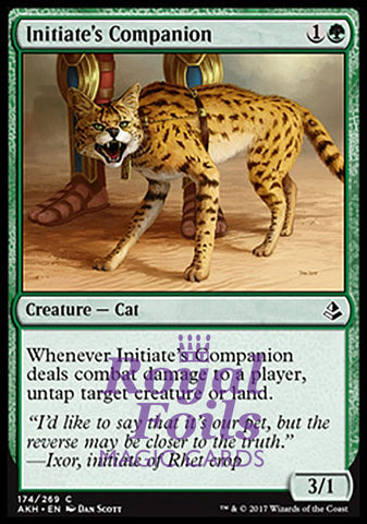 Initiate's Companion 4x FOIL AKH MTG Amonkhet Common MINT green