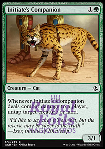 **4x FOIL Initiate's Companion** AKH MTG Amonkhet Common MINT green