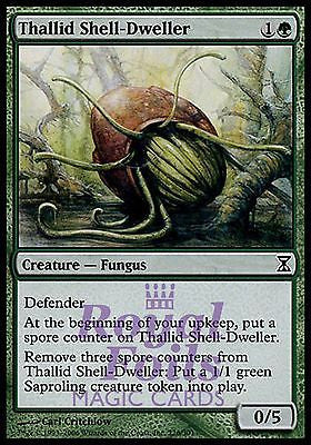 **2x FOIL Thallid Shell-Dweller** TSP MTG Time Spiral Common MINT green