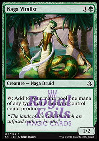 **4x FOIL Naga Vitalist** AKH MTG Amonkhet Common MINT green