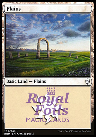 Plains 253 2x FOIL DOM MTG Dominaria Basic Land MINT white
