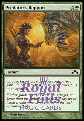 Predator's Rapport 4x FOIL GTC MTG Gatecrash Common MINT green