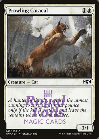 **2x FOIL Prowling Caracal** RNA MTG Ravnica Allegiance Common MINT white