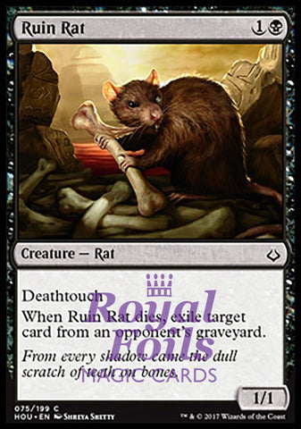 **4x FOIL Ruin Rat** HOU MTG Hour of Devastation Common MINT black