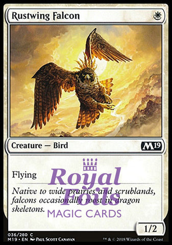 Rustwing Falcon 4x FOIL M19 MTG Core Set 2019 Common MINT white