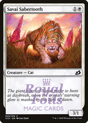 **4x FOIL Savai Sabertooth** IKO MTG Ikoria Common MINT white