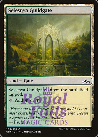 **2x FOIL Selesnya Guildgate #255** GRN MTG Guilds of Ravnica Common MINT green white land gate